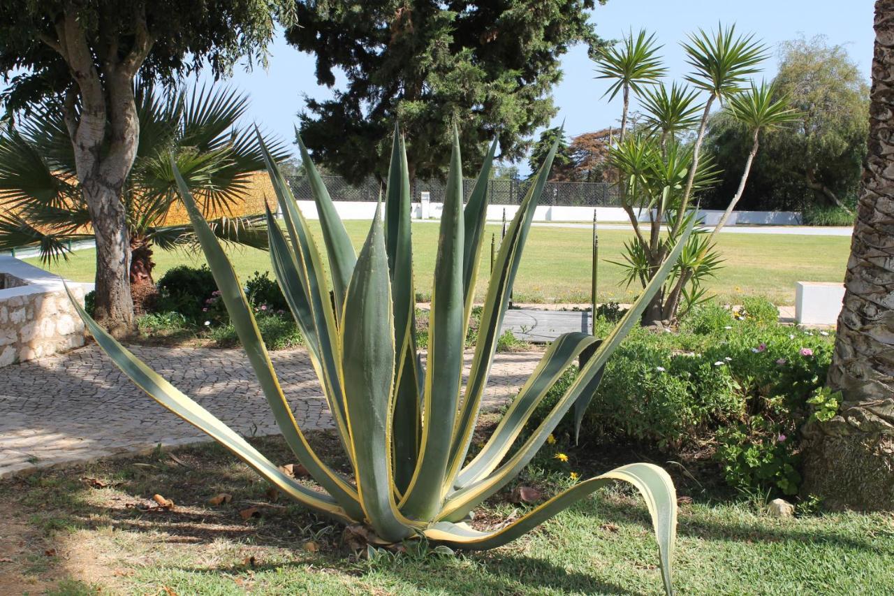 Apartmán Casa Beachcomber Le Jardin Des Arts Lagos Exteriér fotografie